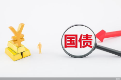 储蓄国债,稳健投资新选择，国家信用保障下的财富增值之道