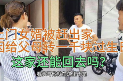 陈平刘家上门婿小说,逆袭之路，荣耀归来
