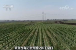 平方公里,揭秘广阔土地的奥秘与魅力”