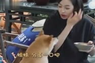 娱乐八卦吃瓜直播姐妹视频,揭秘娱乐八卦吃瓜姐妹的幕后故事