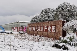 今日热点精编时政新闻眼丨习赴云南丽江考察关注这座名城的“古与今”