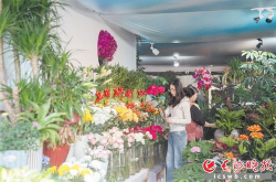 长沙鲜花,浪漫花海中的爱情诗篇