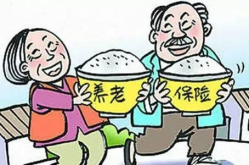 城乡养老,构建和谐养老保障体系的关键举措
