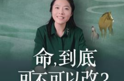 意公子,苏东坡形象再议与历史评价的当代反思