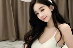 国产一级一片免费播放放a（中国）iosAndroid通用版APP最新版—真心英雄在线观看国语